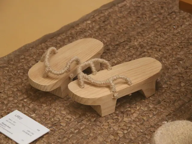The image shows a pair of wooden slippers sitting on top of a rug, with a wooden object on the...