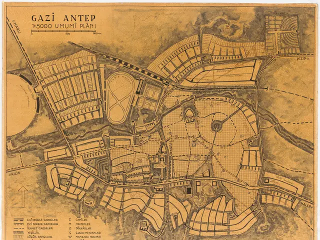 The image shows an old map of the city of Gaza, with text written on it. The map is detailed,...