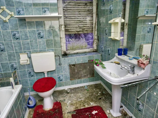 The image shows a bathroom with a toilet, sink, bathtub, commode, flush tank, toilet seat, toilet...
