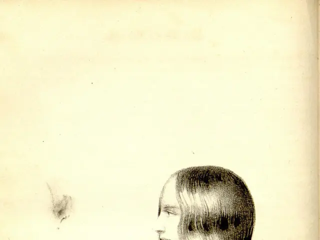 The image shows a book with a drawing of a New Mexican Indian woman on the cover. The woman is...