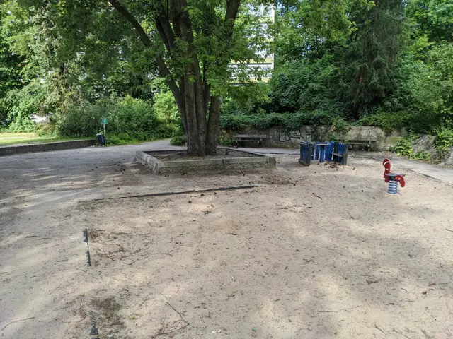 The image shows a park with a large tree in the middle of it, surrounded by benches, dustbins,...