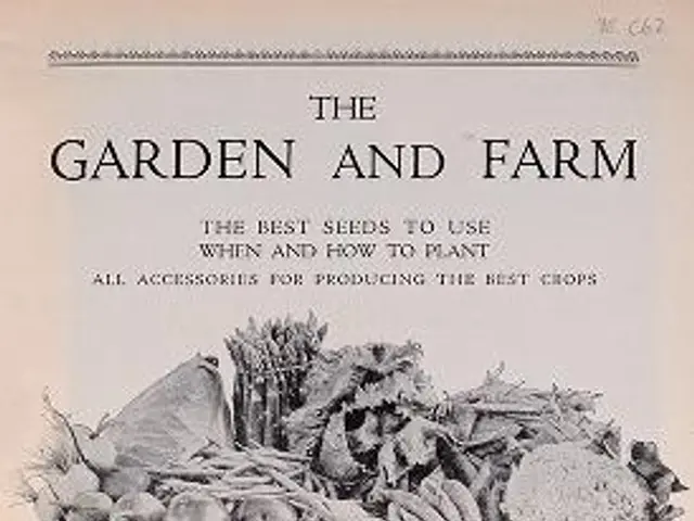 The image shows a paper with a picture of a basket filled with various vegetables and text that...