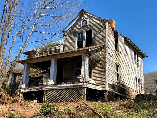 The image shows an old abandoned house in the woods, surrounded by trees, plants, and grass, with a...