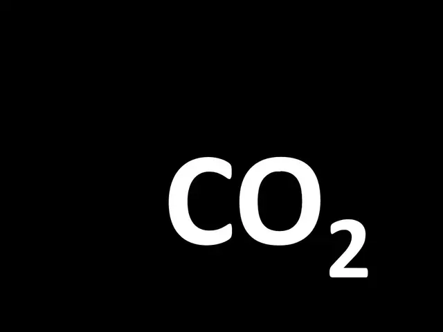 The image shows a black footprint with the word "CO2" written on it against a white background.