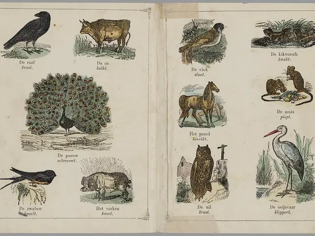 The image shows an open book with a variety of animals and birds from the Netherlands, including...