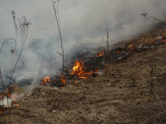 The image shows a prescribed fire burning in the middle of a field, with smoke billowing up into...