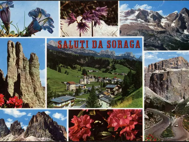 The image shows a collage of pictures of flowers, mountains, buildings, trees, grass, roads, and a...