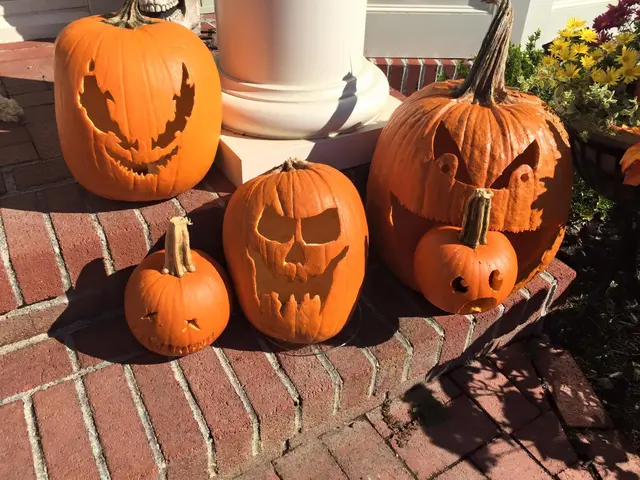 The image shows four carved pumpkins sitting on the steps of a house, surrounded by plants with...