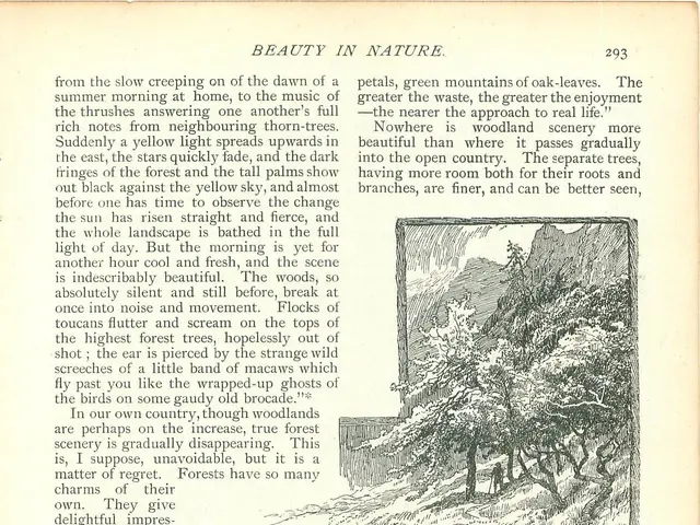 The image shows an open book with a drawing of a landscape featuring trees, plants, and water. The...
