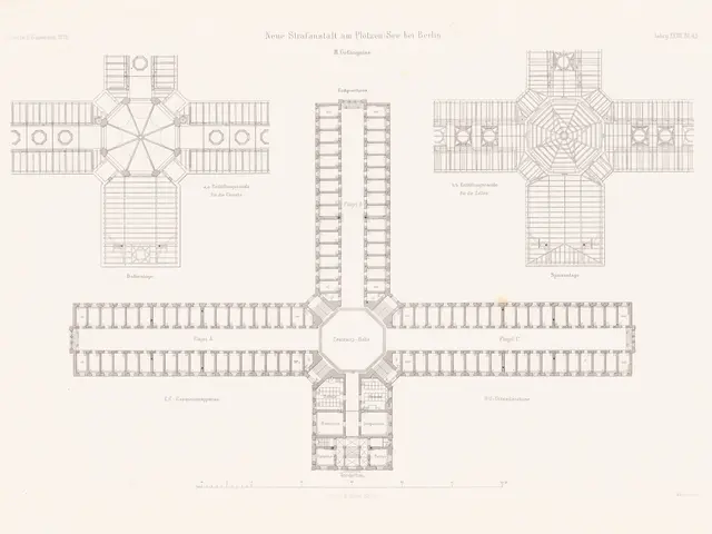 The image shows a drawing of a floor plan of a building with a lot of windows, which is believed to...