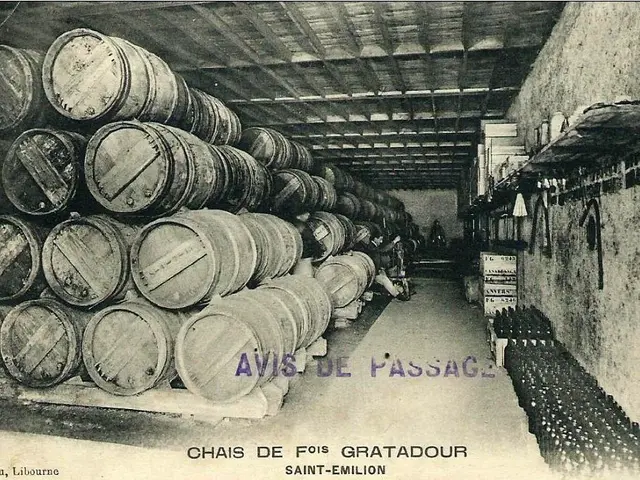 The image shows an old black and white photo of wine barrels in a cellar. On the right side of the...