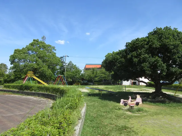 The image shows a park with a playground in the middle of it, surrounded by lush green grass,...