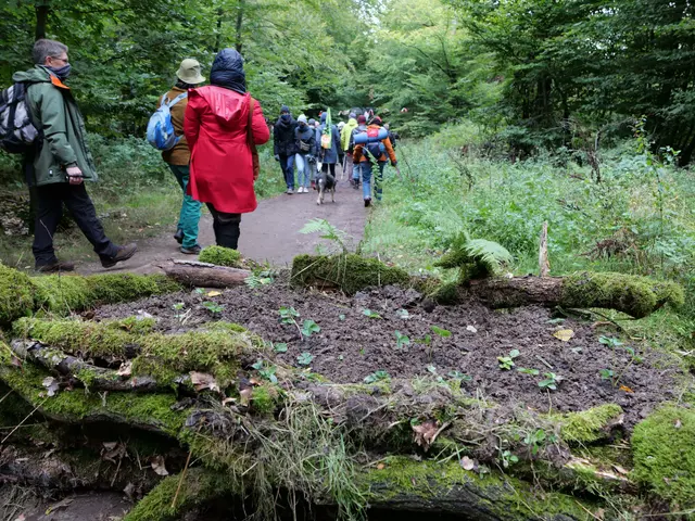The image shows a group of people walking down a path in the woods, with a dog accompanying them....