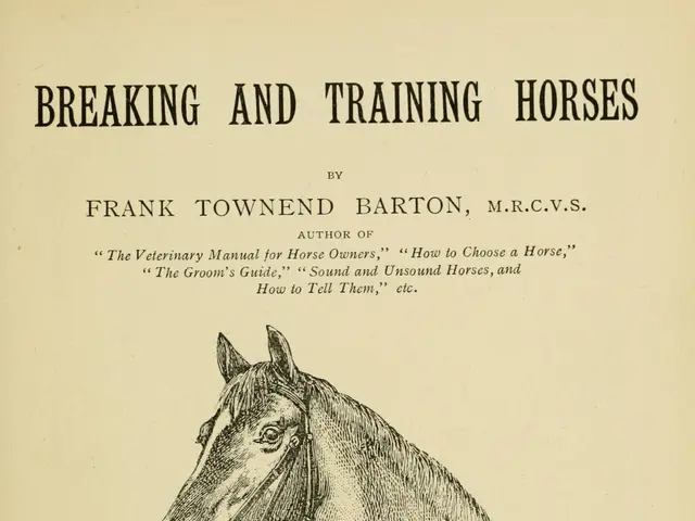 The image shows an old book with a drawing of a horse on the cover. The horse is depicted with its...