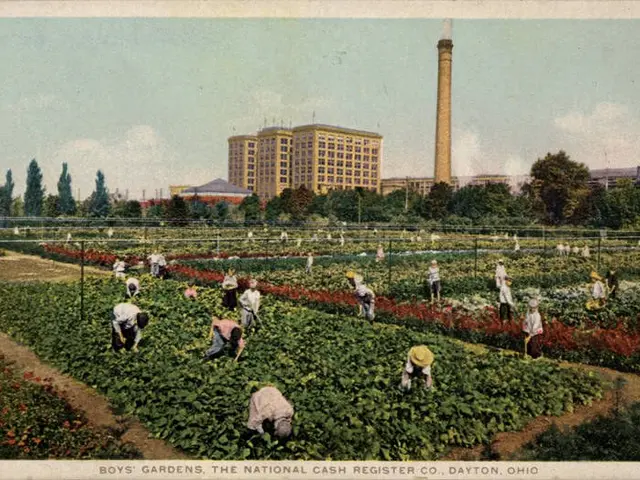 The image shows a group of people working in a field of plants with flowers, surrounded by trees...