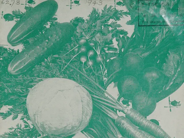 The image shows a poster with a variety of vegetables, including carrots, tomatoes, and other...