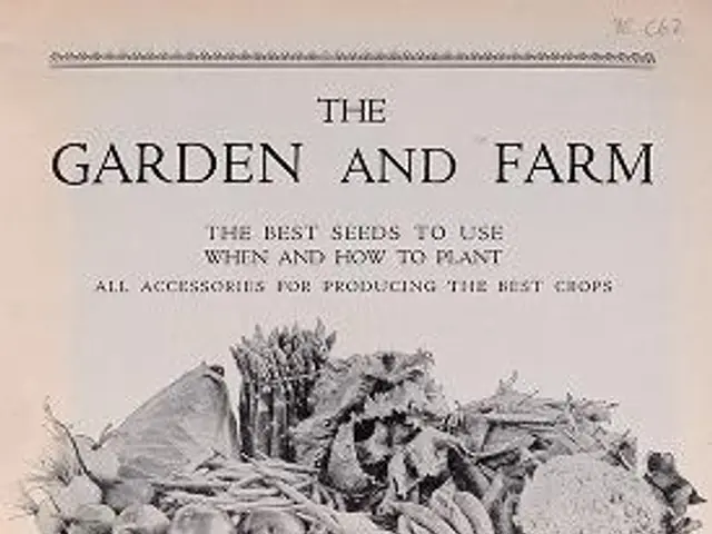 The image shows a paper with a picture of a basket filled with various vegetables and text that...