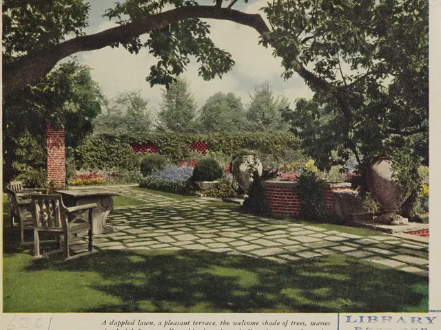 The image shows a garden with lush green grass, a variety of trees, plants, and flowers, as well as...