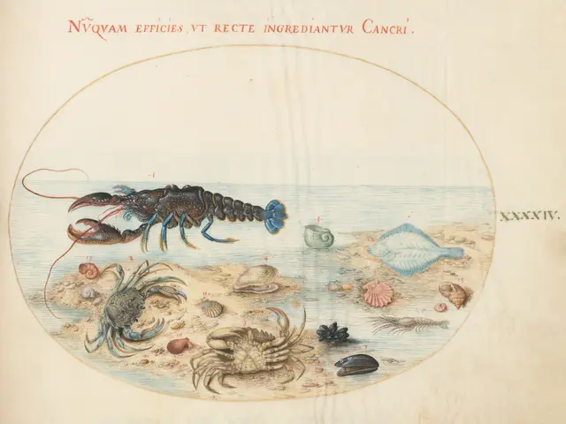 The image shows an old book with a drawing of a lobster on it, surrounded by various sea creatures...