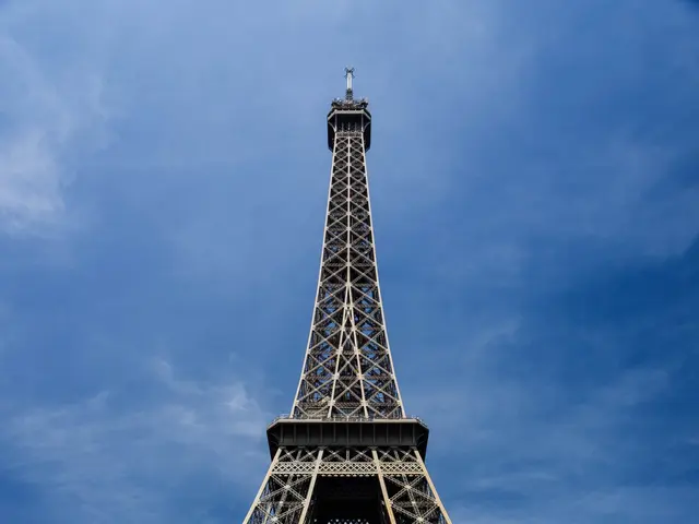 The image shows the iconic Eiffel Tower in Paris, France, surrounded by lush green grass, trees,...