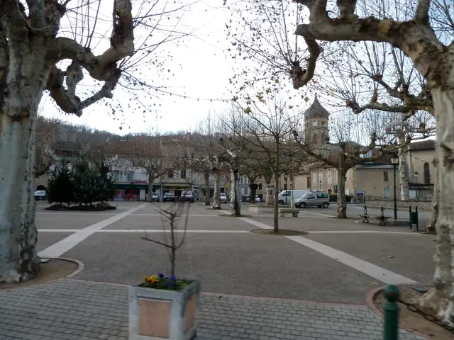 The image shows a city square with trees in the middle of it, surrounded by buildings, street...