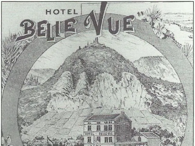 The image shows an old advertisement for the Hotel Belle Vue in Rhondorf, Switzerland. It features...