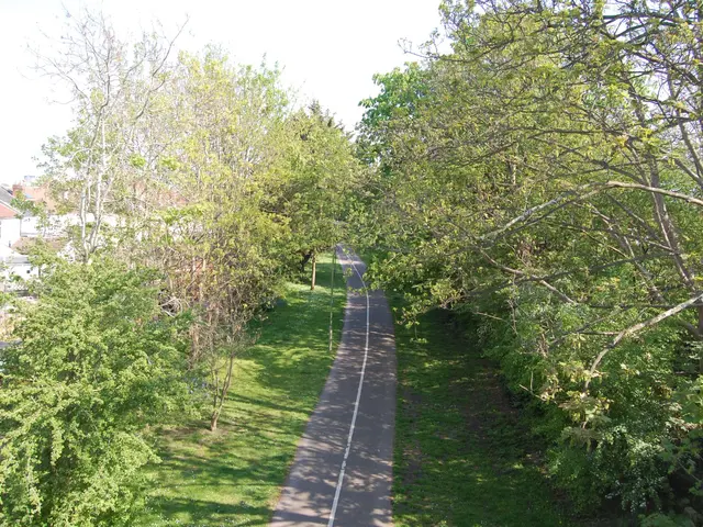 The image shows a road winding through a lush green forest, with trees on either side. In the...