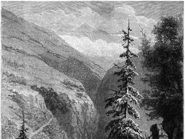 The image shows a black and white engraving of a man walking down a path in the mountains,...