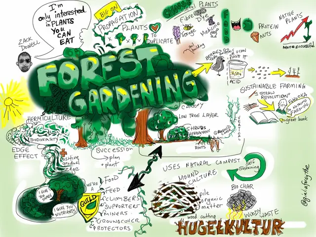 The image shows a poster with a drawing of a tree with the words "Forest Gardening" written on it....