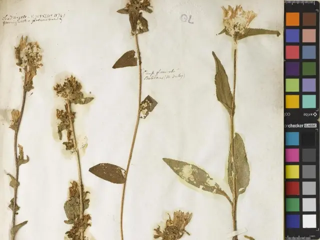The image shows a page from a book with a bunch of dried flowers on it, along with a scale, color...
