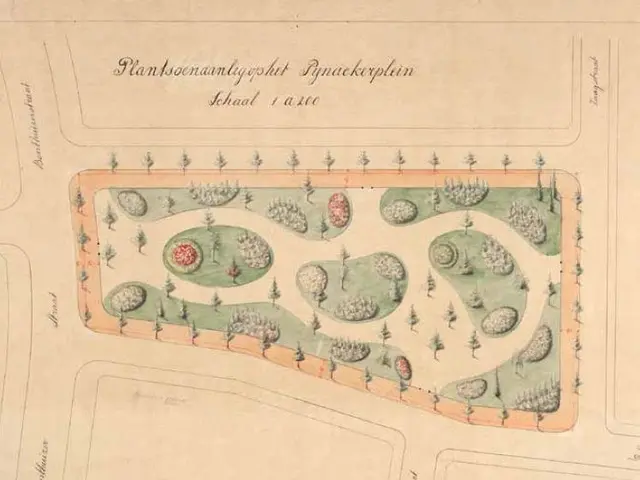 The image shows a plan of a garden with a lot of trees and bushes, as well as text written on the...