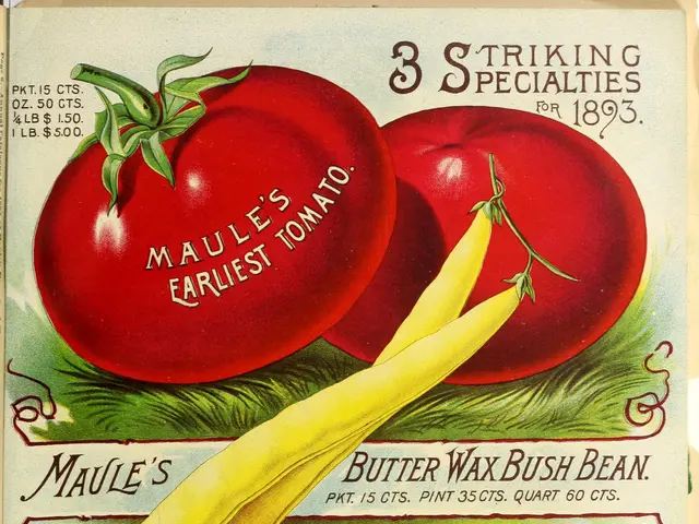 The image shows a poster with a variety of vegetables, including tomatoes and beets, with the words...