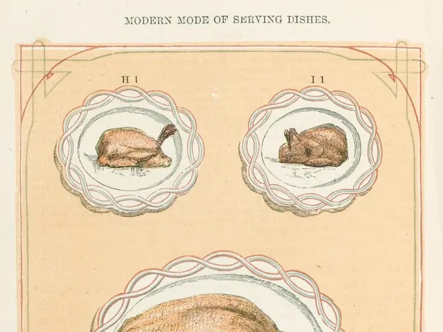 The image shows a book with a drawing of a plate of food on it. The plate is filled with a variety...