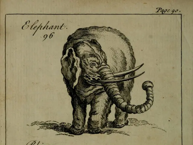 The image shows an old book with a drawing of three elephants and a rhinoceros on it. The book is...