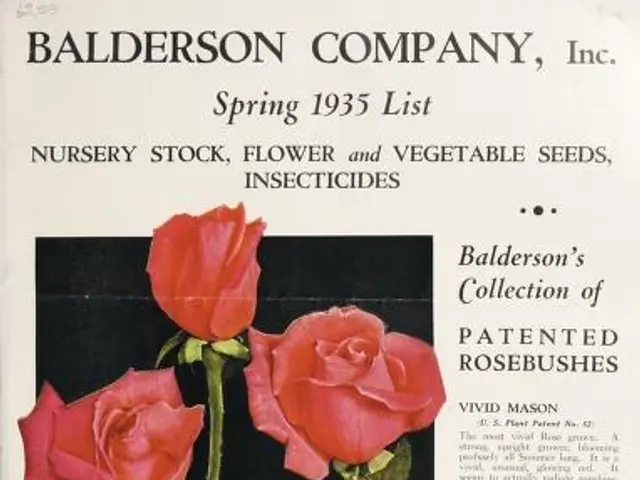 The image shows a paper from the Baldwin Company, Inc. Spring 1935 List of Nursery Stock, Flower...