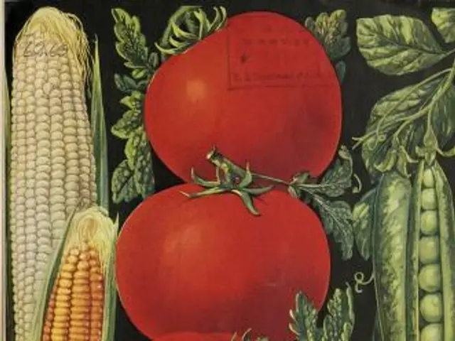 The image shows a book with a variety of vegetables on it, including tomatoes, corn, and leaves....