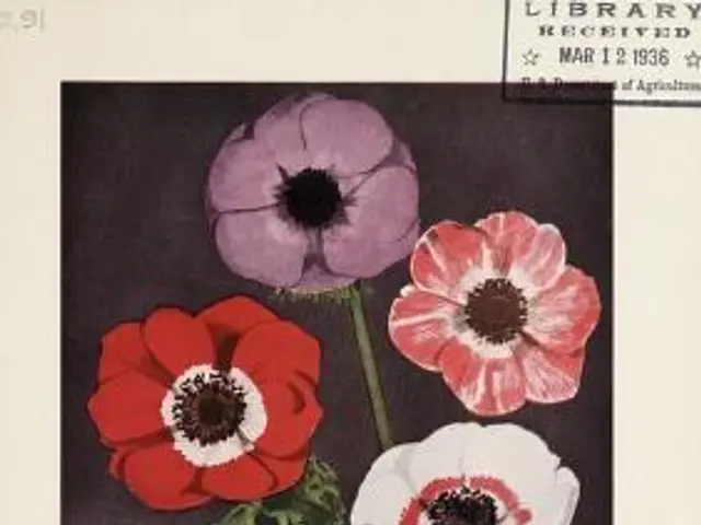 The image shows a poster of Pacific Coast Grown Bulbs from Delkin Bulb Farm in Bellevue, Washington...