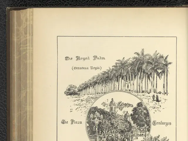 The image shows an open book with a drawing of a park on it, featuring trees, people, and text. The...