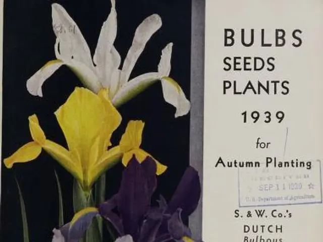 The image shows a book with a picture of yellow and purple flowers on it, along with text that...