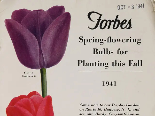 The image shows a poster with three tulips in red, yellow, and purple, with the words "Forbes...