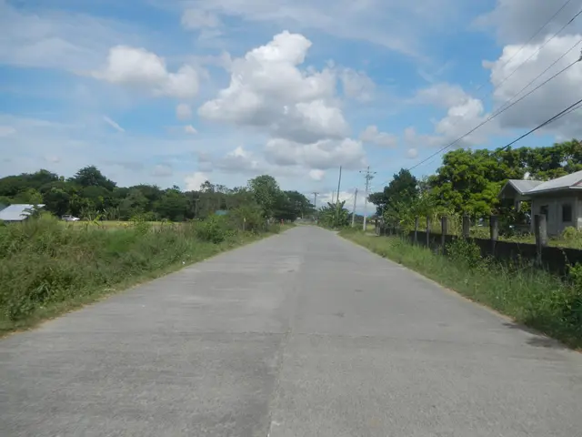 The image shows an empty road in the middle of a rural area, surrounded by plants, grass, a fence,...