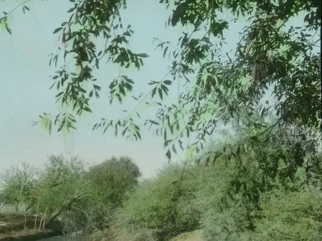 The image shows a river with a group of sheep grazing on the side of it, surrounded by trees and a...