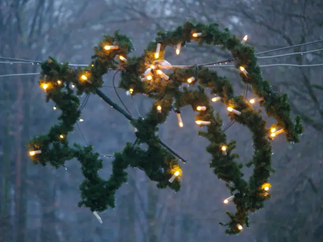 The image shows a wreath of Christmas lights hanging from a wire in the snow, surrounded by trees...