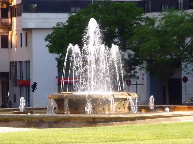 The image shows a fountain in the middle of a park surrounded by lush green grass. In the...
