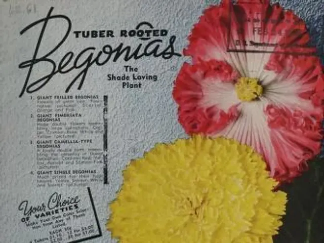 The image shows a 1938 spring planting guide from Van Bourgondien Bros. featuring tuber rooted...