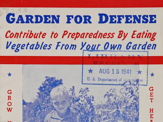 The image shows a young boy standing in a garden, holding a basket of vegetables in his hands. He...