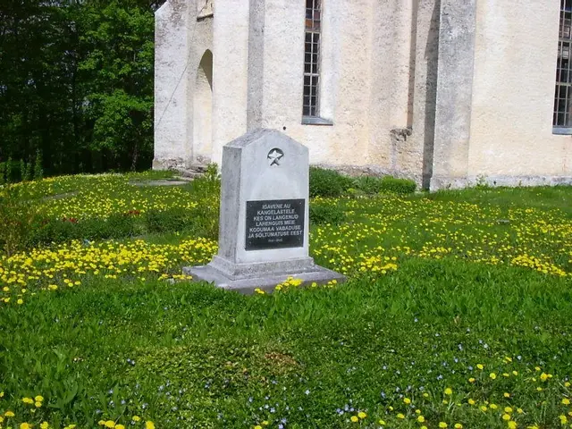 The image shows a memorial stone in the middle of a field of yellow flowers, surrounded by lush...