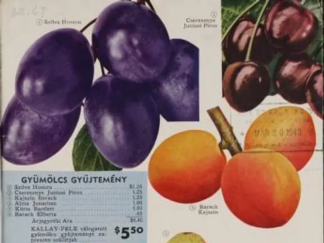 The image shows an old book with a variety of fruits on it, including apples, pears, and plums. The...