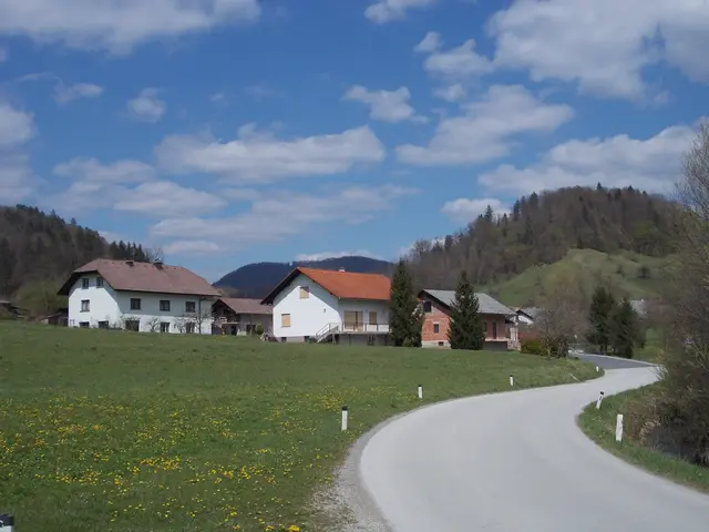 The image shows a country road winding through a lush green field with yellow flowers, surrounded...