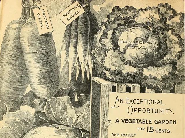 The image shows an old book with a variety of vegetables on it, including cabbage, carrots, and...
